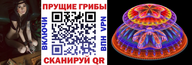 Галлюциногенные грибы Cubensis Кыштым